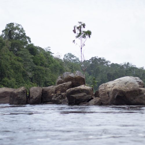 Expedição para o Parque do TUmcumaque (3)