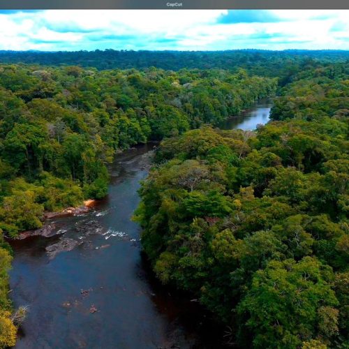Parque do Tumucumaque Amapá Ecocamping