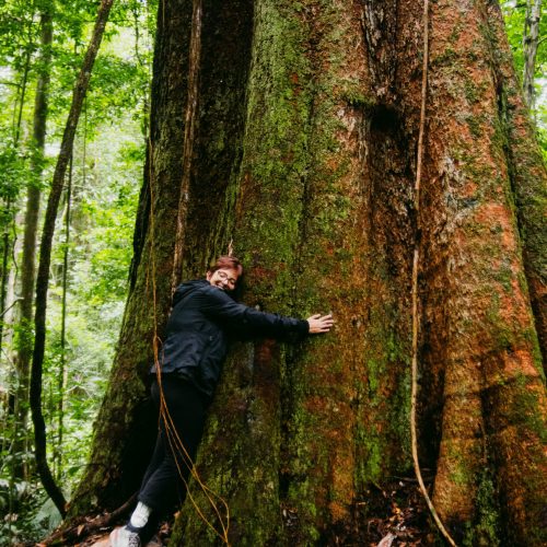 Trilha Ecológica no PArque doTumucumaque (1)