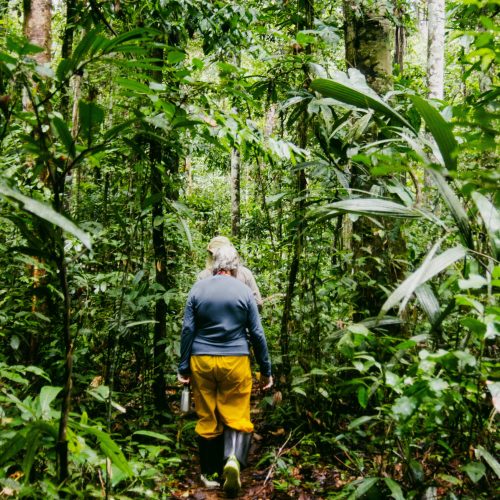 Trilha Ecológica no PArque doTumucumaque (3)