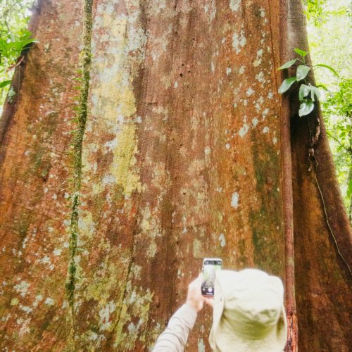 Trilha Ecológica no PArque doTumucumaque (4)