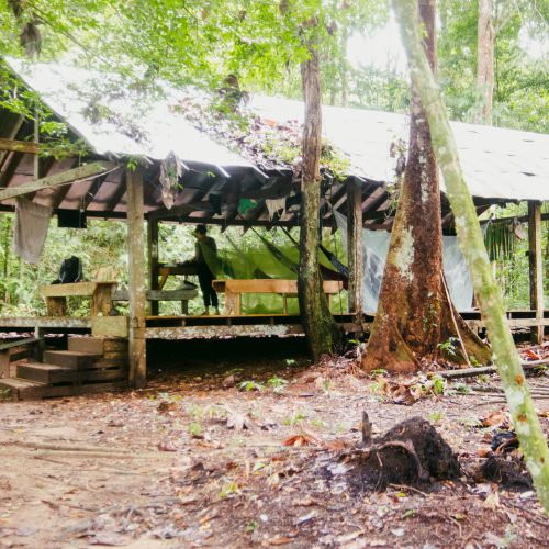 Trilha Ecológica no PArque doTumucumaque (5)